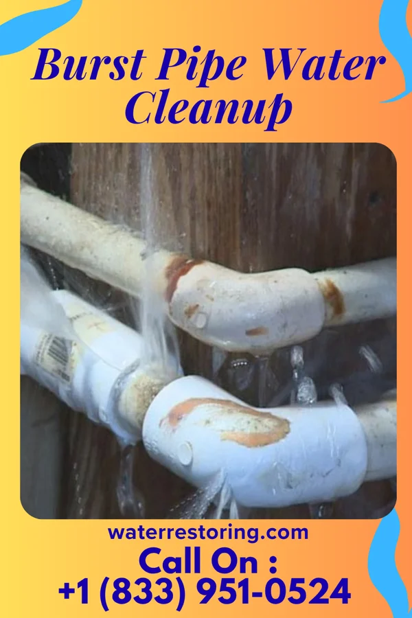 Burst Pipe Water Cleanup in Northwest Harwinton, CT