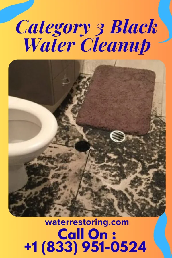 Category 3 Black Water Cleanup in Northwest Harwinton, CT
