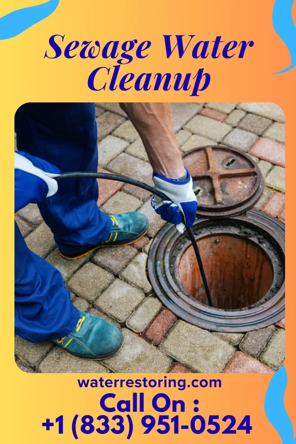 Sewage Water Cleanup in Northwest Harwinton, CT